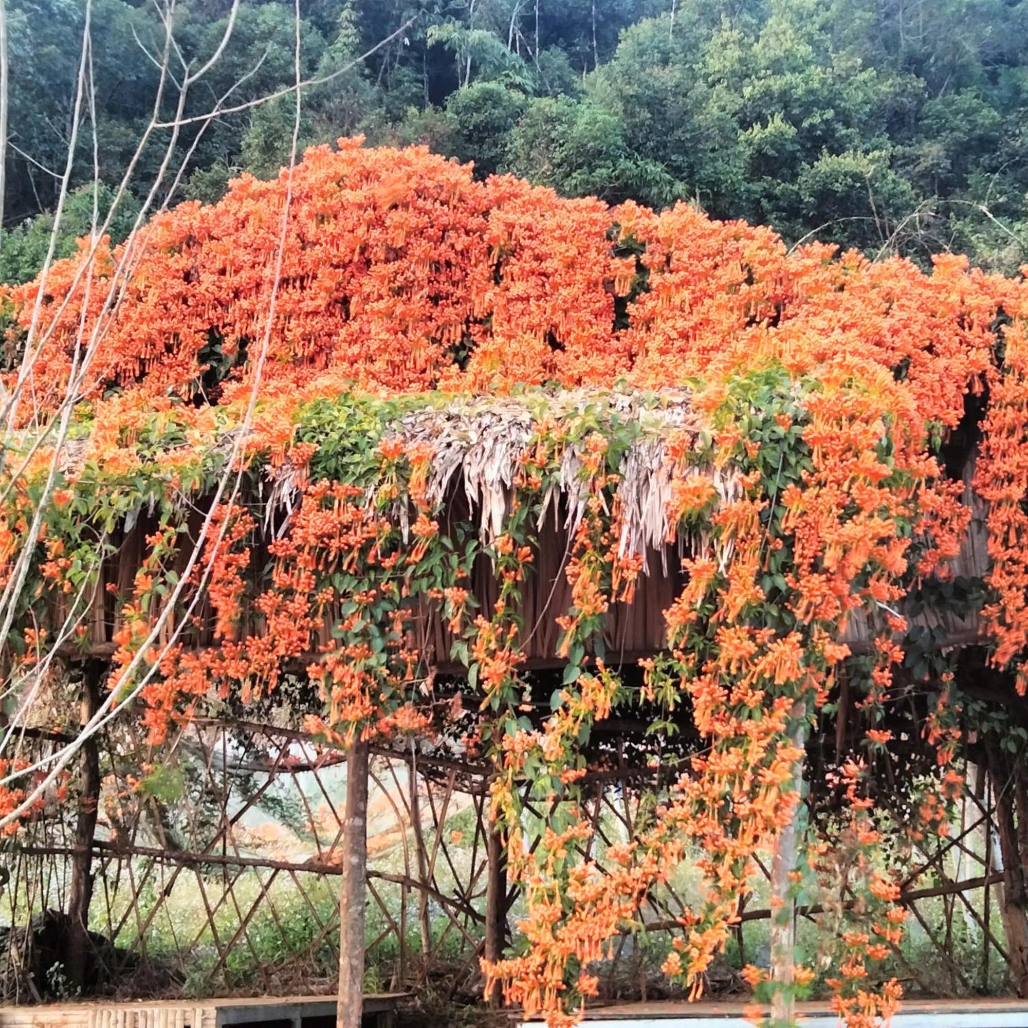 Muong Sang Farmstay Moc Chau Exteriör bild